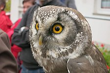 IMG_0065.JPG 