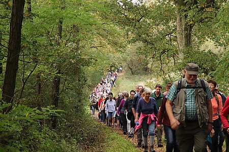 Wanderung_1.JPG 