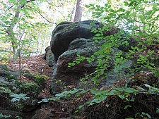 IMG_003a.JPG 
