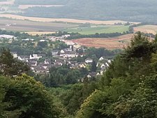IMG_0004a.jpg 