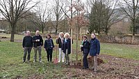 Baumspende des Rotary Club Römische Weinstraße für die Kulturgeschichtliche Begegnungsstätte in Föhren