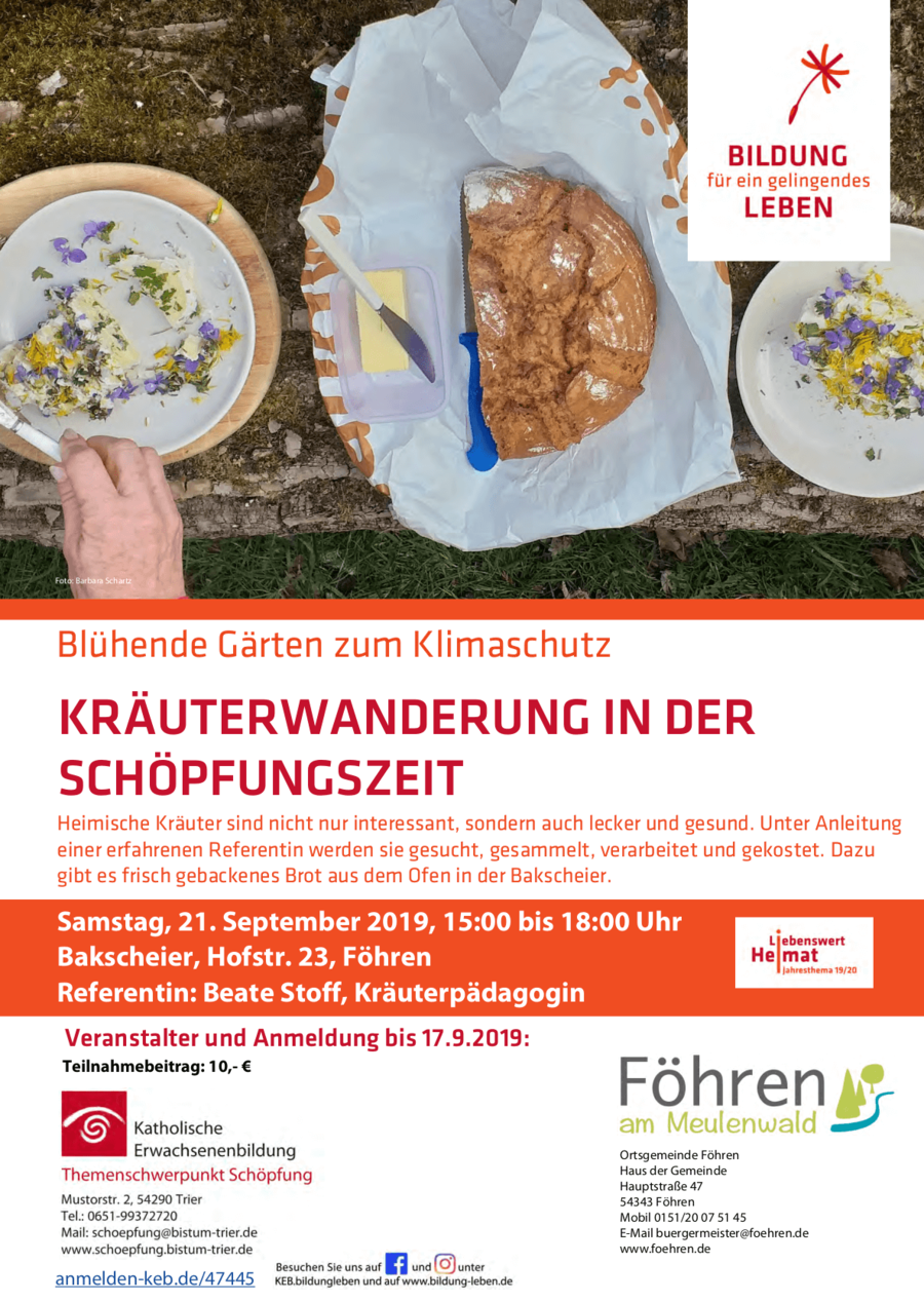 9-21_Kraeuterwanderung_Foehren2_web__1_.png 