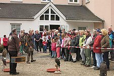IMG_0073b.JPG 