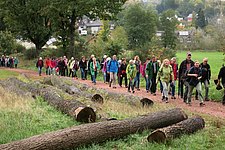 IMG_0003.JPG 