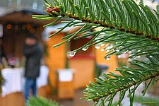 IMG_0199.JPG 